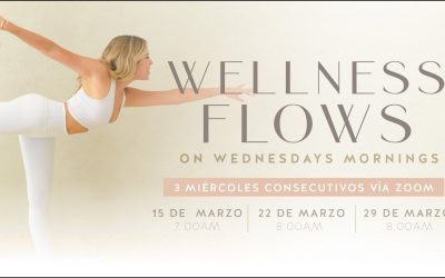 Wellness Flow | Wednesday Mornings